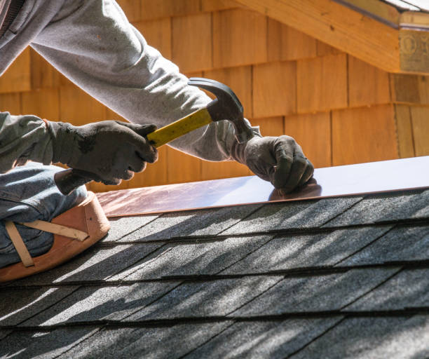Best Roof Gutter Cleaning  in Henderson, NC